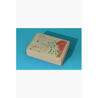 Ikimokyklinio ugdymo metodinės medžiagos priemonių rinkinys „Žaismė ir atradimai”