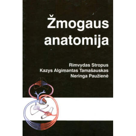 Žmogaus anatomija
