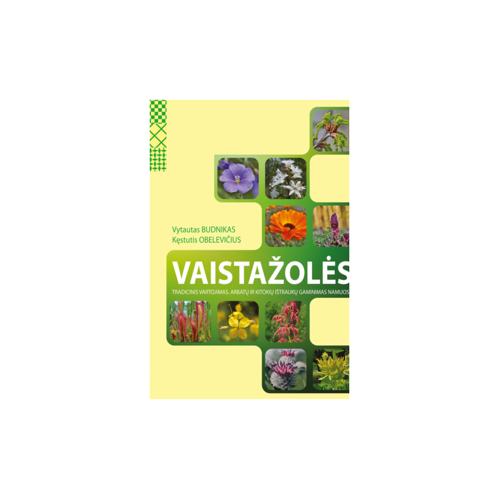 Vaistažolės. Tradicinis vartojimas, arbatų ir kitokių ištraukų gaminimas namuose