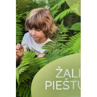 Žaliasis pieštukas